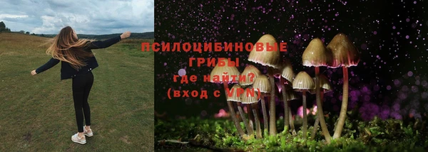 синтетический гашиш Богданович